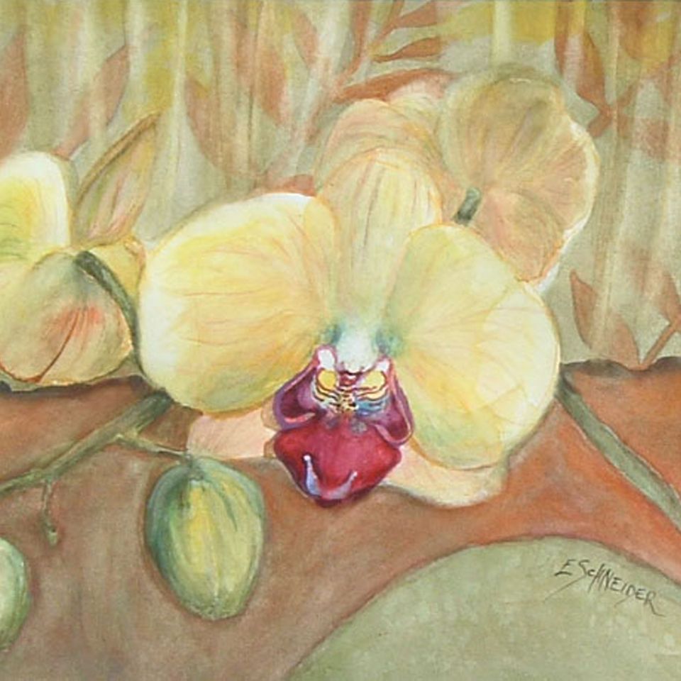 Yellow orchid lg