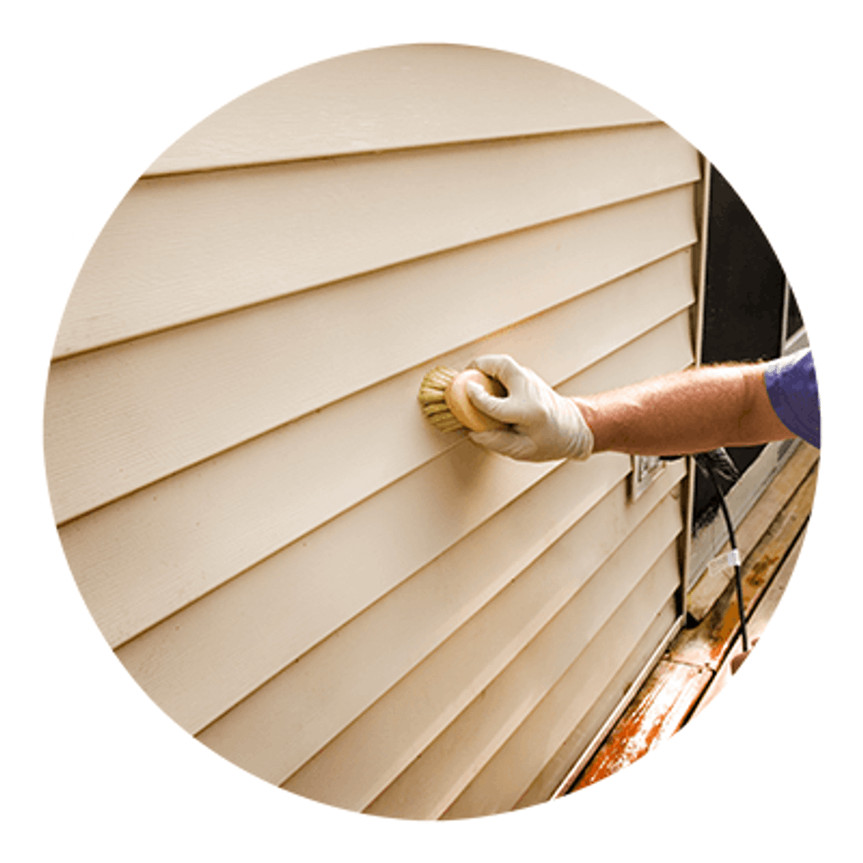 Softwashing siding