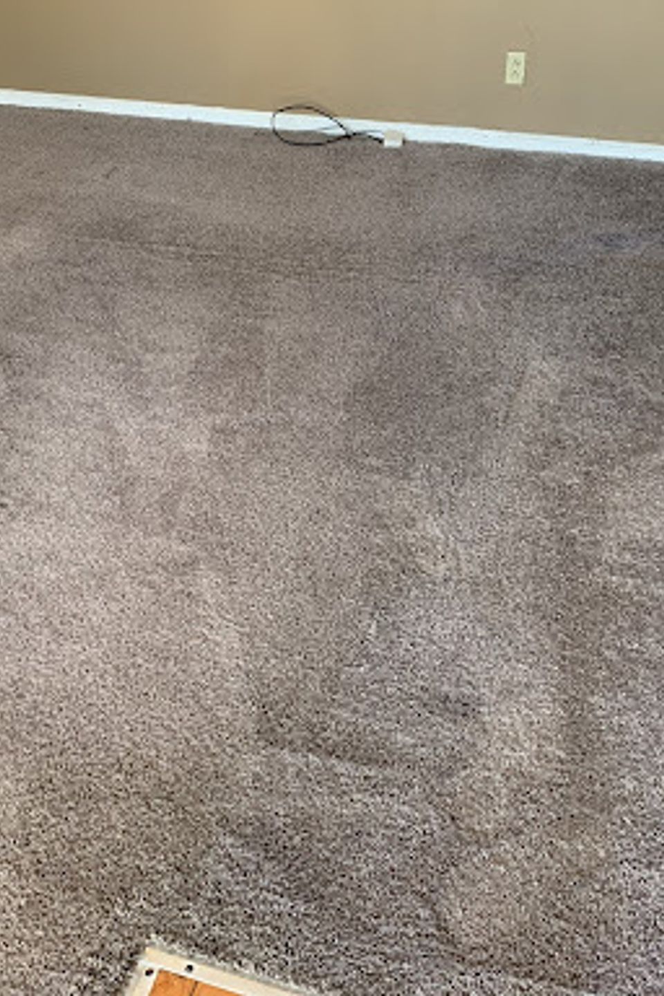 Carpet25