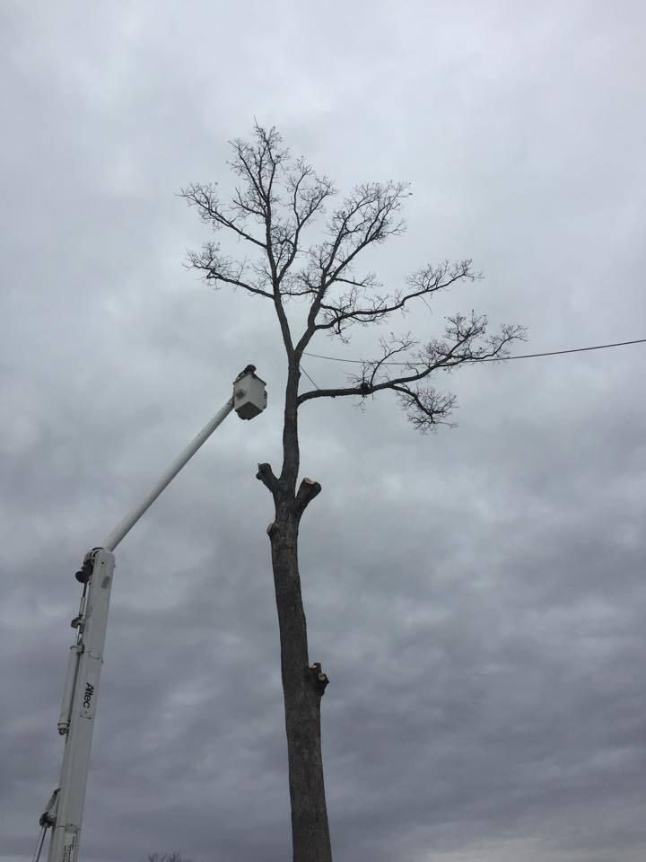 Bucket truck 2