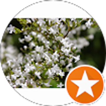 17710428042893859915946205367047