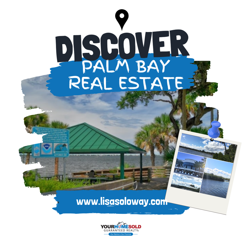 Discover palm bay real estate (1)