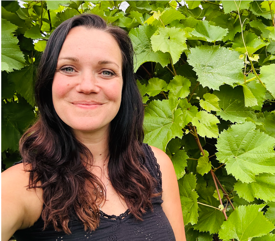 Amber fisher   artist bio