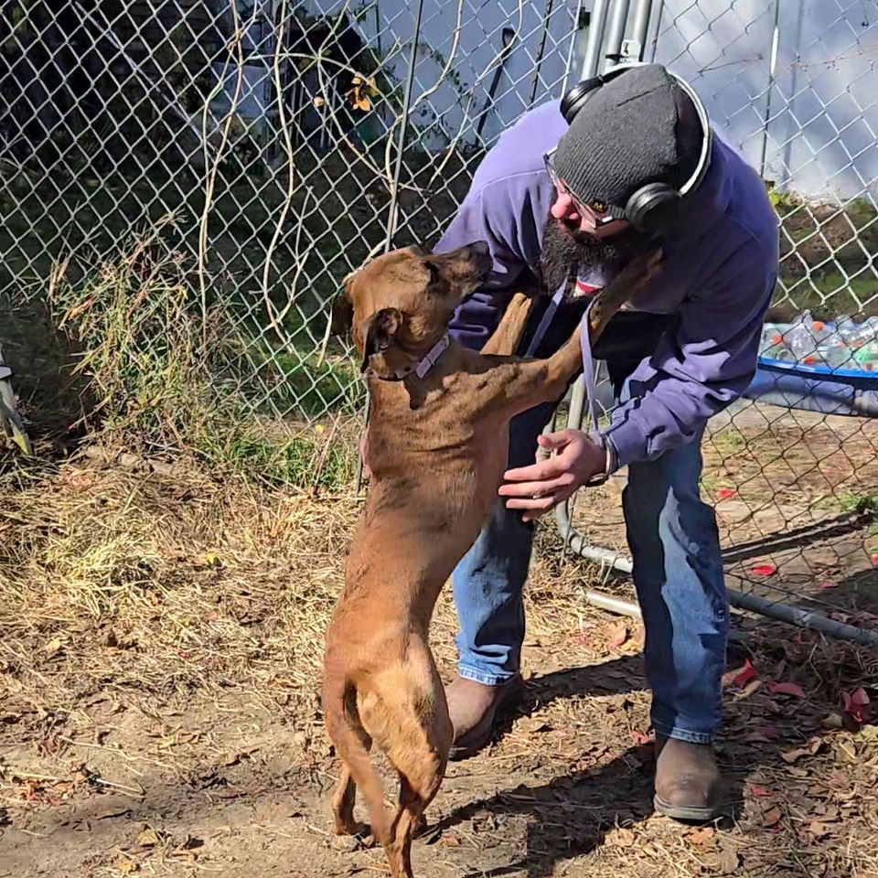 20251028 124915 exported 17437