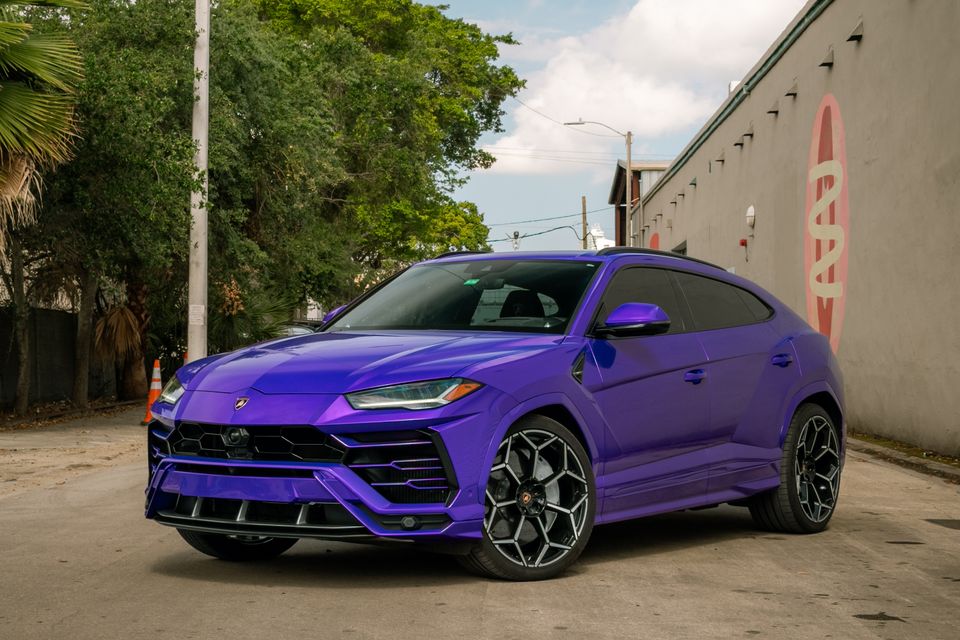 Purple urus