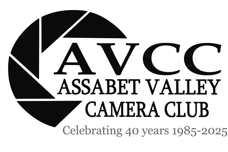 Avcc large logo banner815imagea6