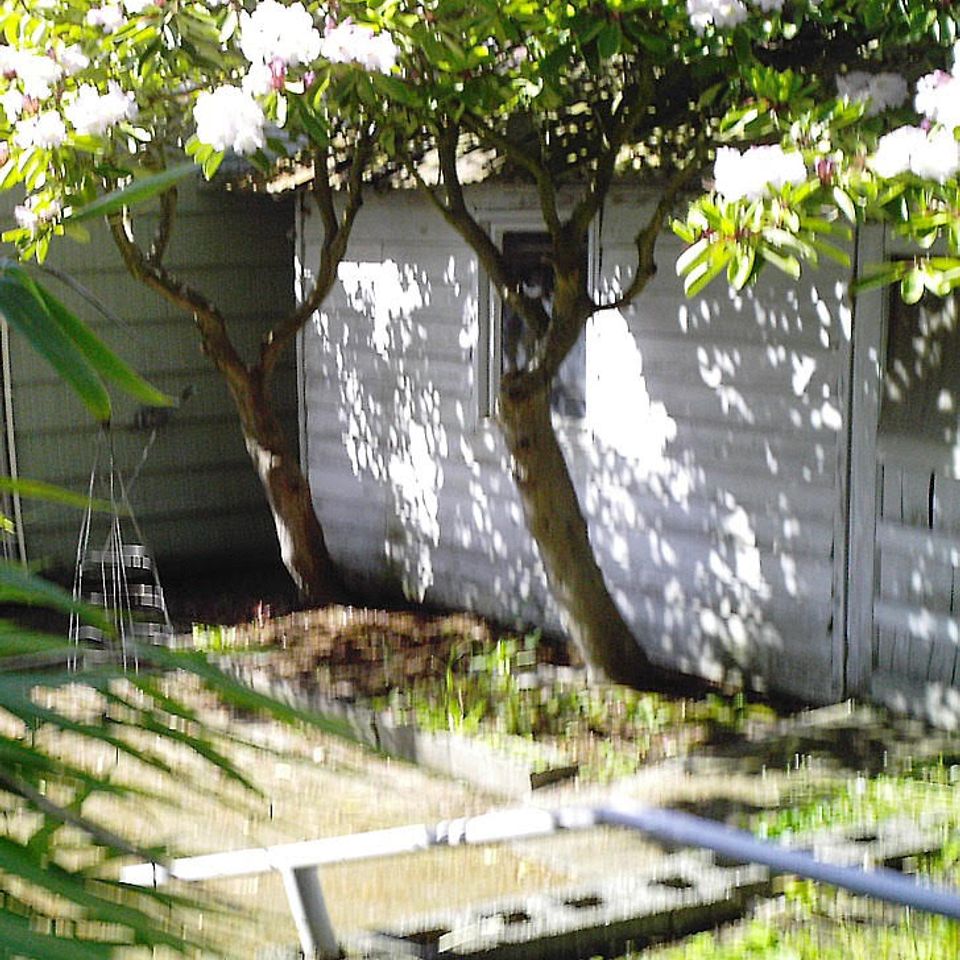 Shed before