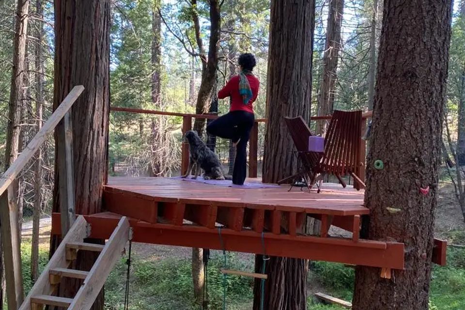 Unplug for nature dogs and kids family dog cabin private 5 acres northern california (7)