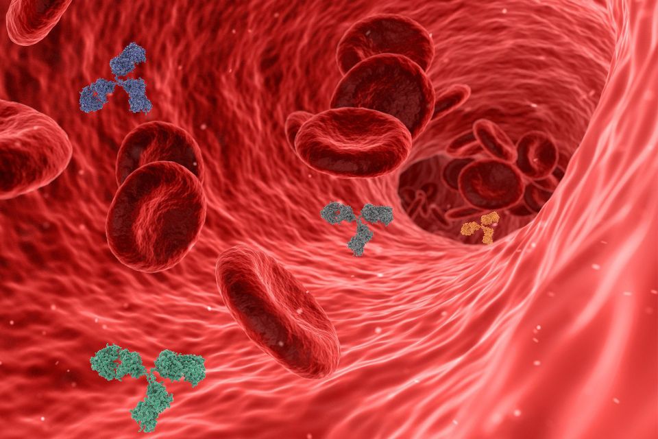 Virus ga816a6c30 1920