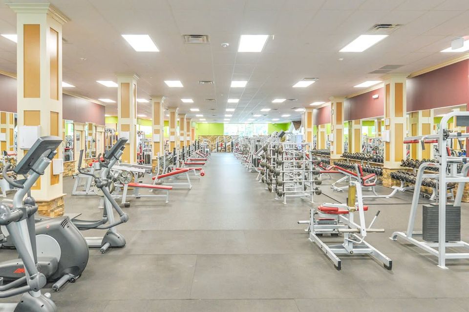 Snapins ai 1637476395922729873