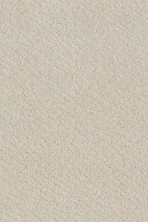 Chic shades   serene still  4.39