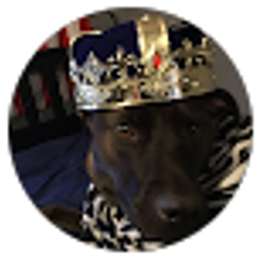 Screenshot 2026 01 17 025537