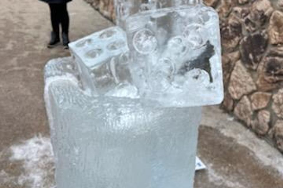Ice carving 31