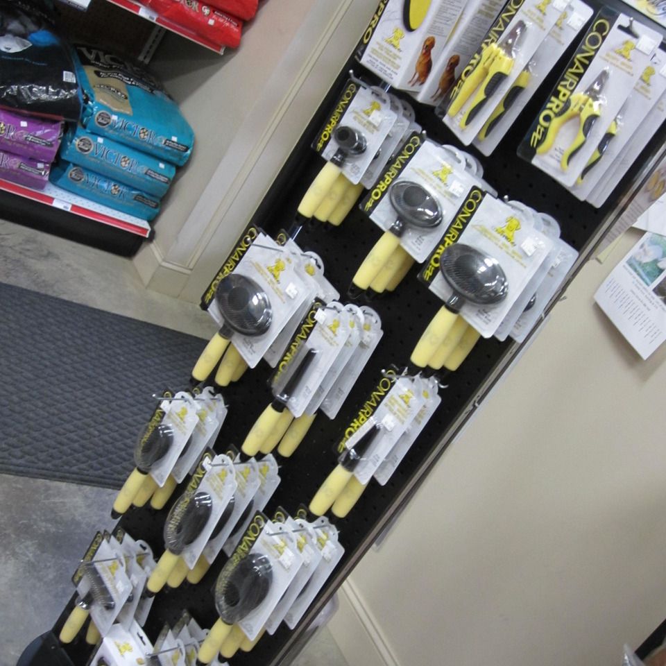Img 011120150105 22172 z5x78v