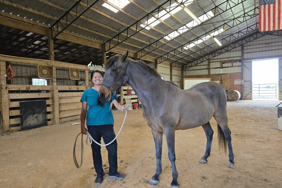 Lorge horse