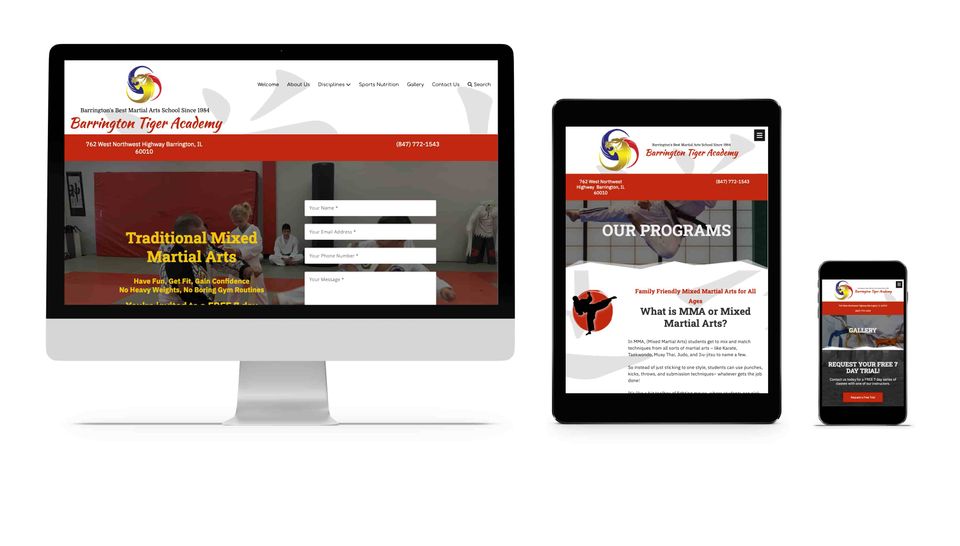 example of a high ranking martial arts website