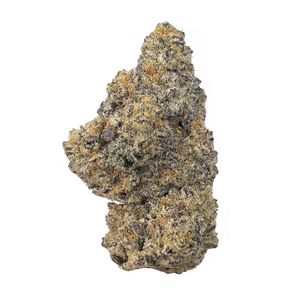 Kamikazi sugar cane 22 435 2