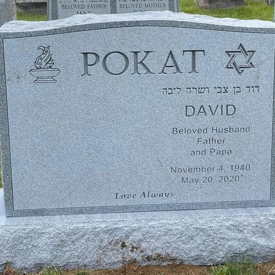 David pokat set