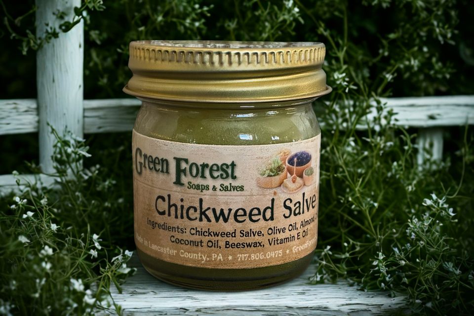 Chickweed Salve from Green Forest Soaps & Salves in Paradise, PA