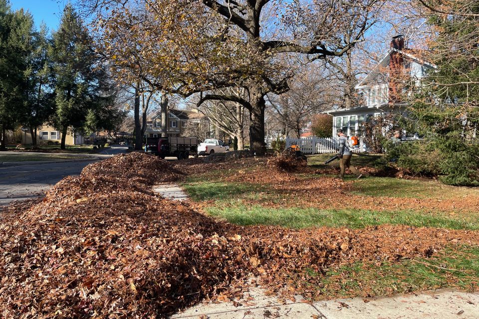 Leaf pile
