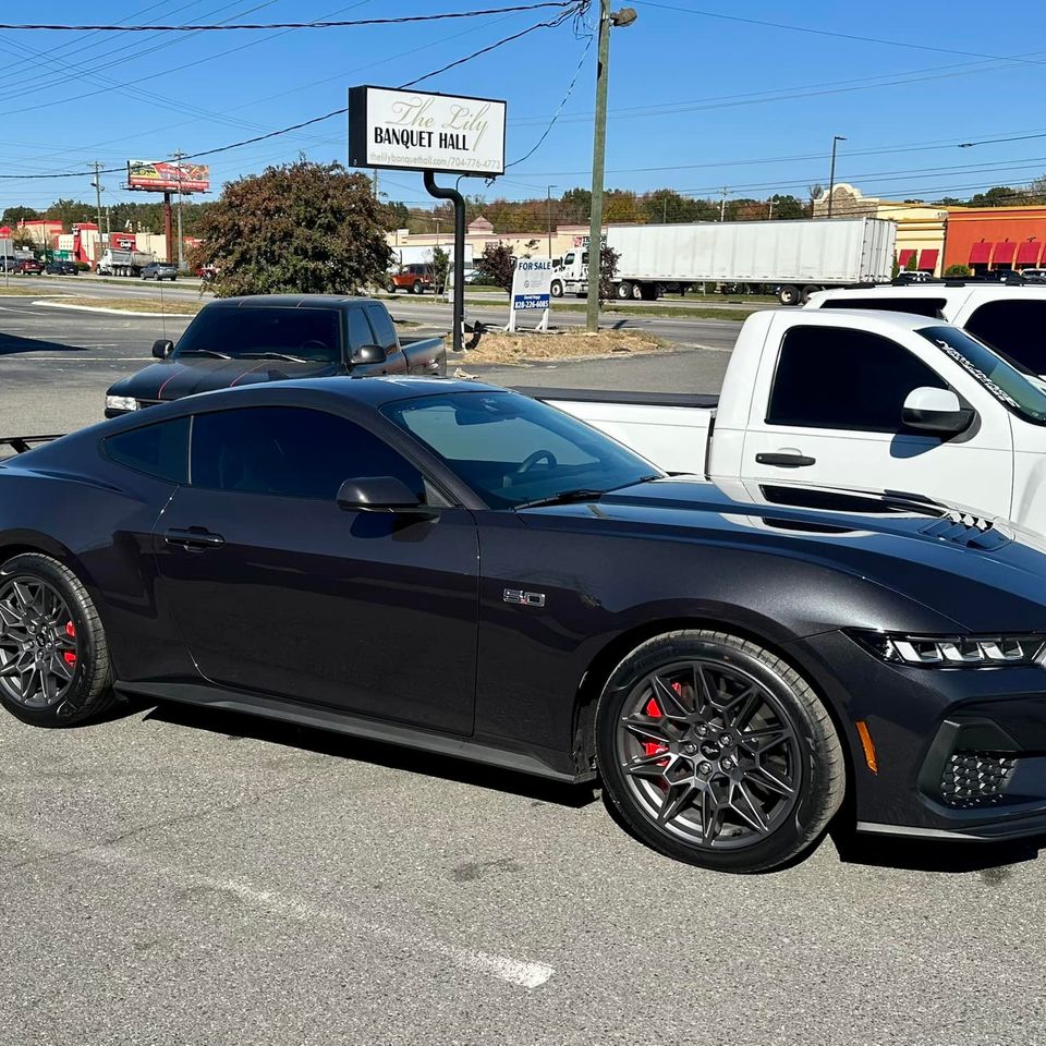 Mustang gt window tint