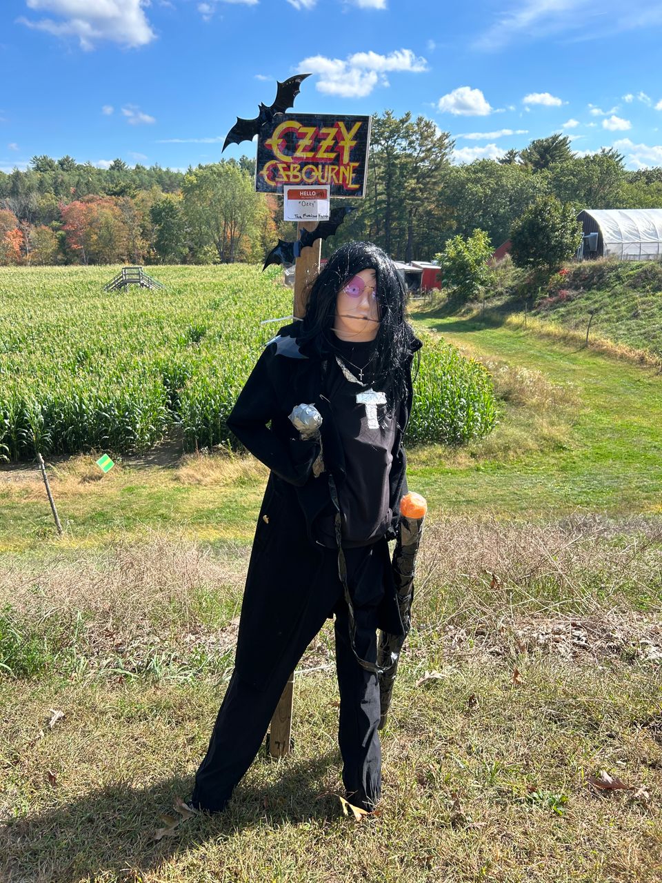 Scarecrow contest in acton 2