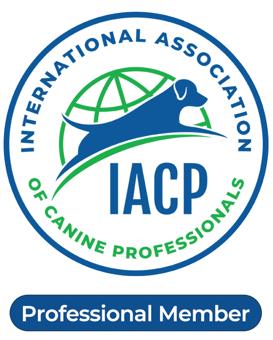 Iacp  member logo 2