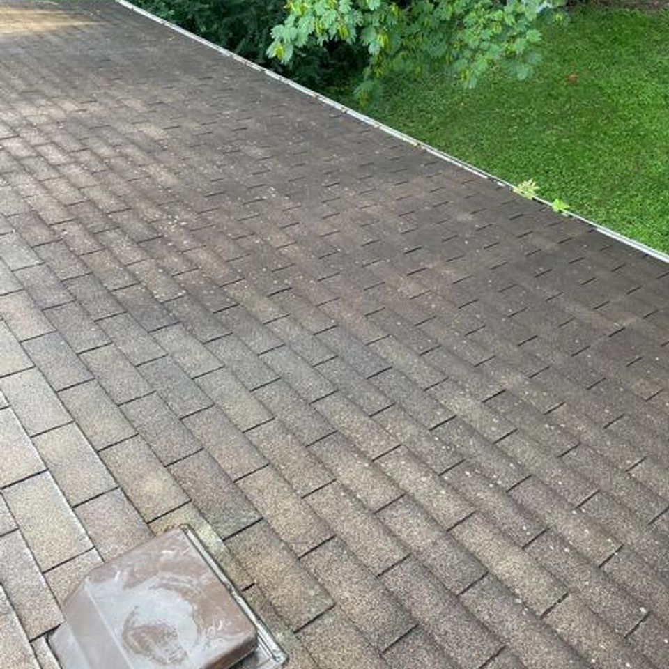 1000000586
