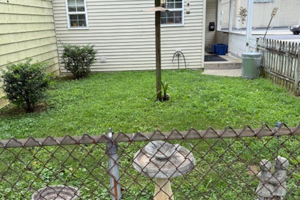 Img 1278