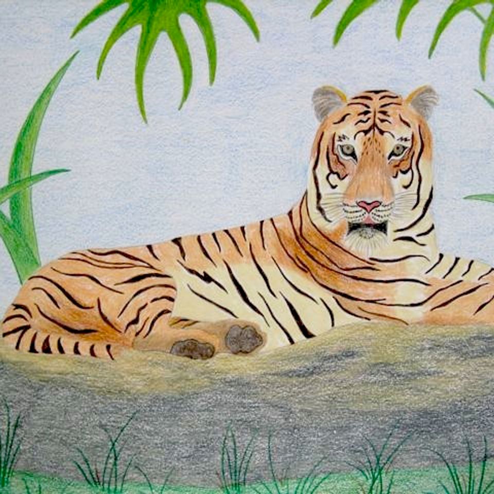 6. tiger