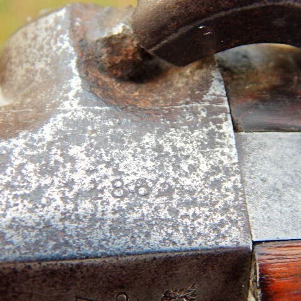 Dscn0095