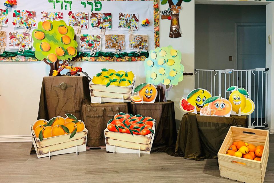 481906569 1692627359166193 599975203251265753 n