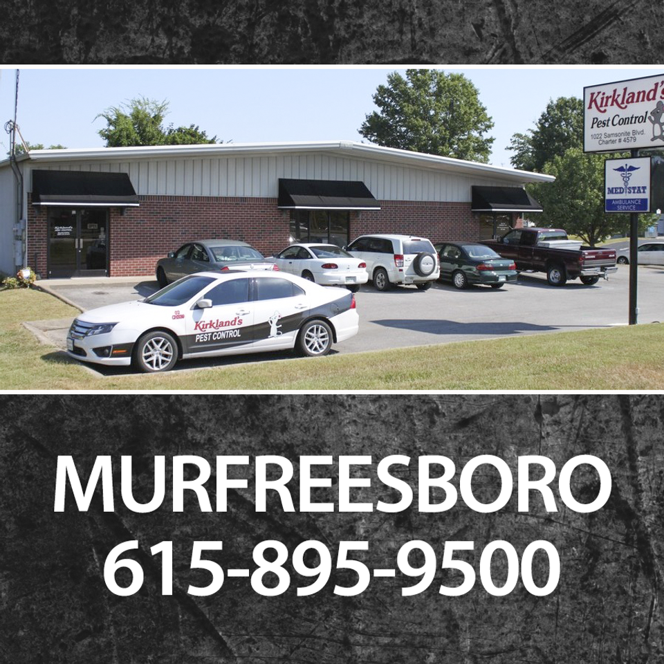 Murfreesboro20171107 5728 1twrvft