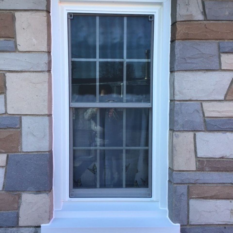 Img 1184