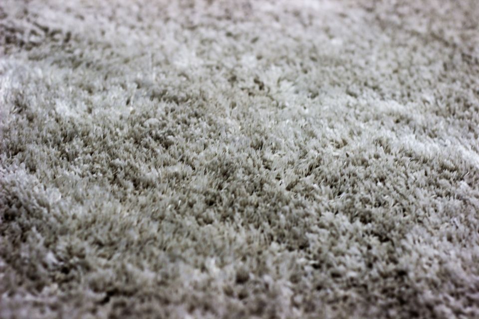 Residential Carpet Cleaner in Eagle Idaho