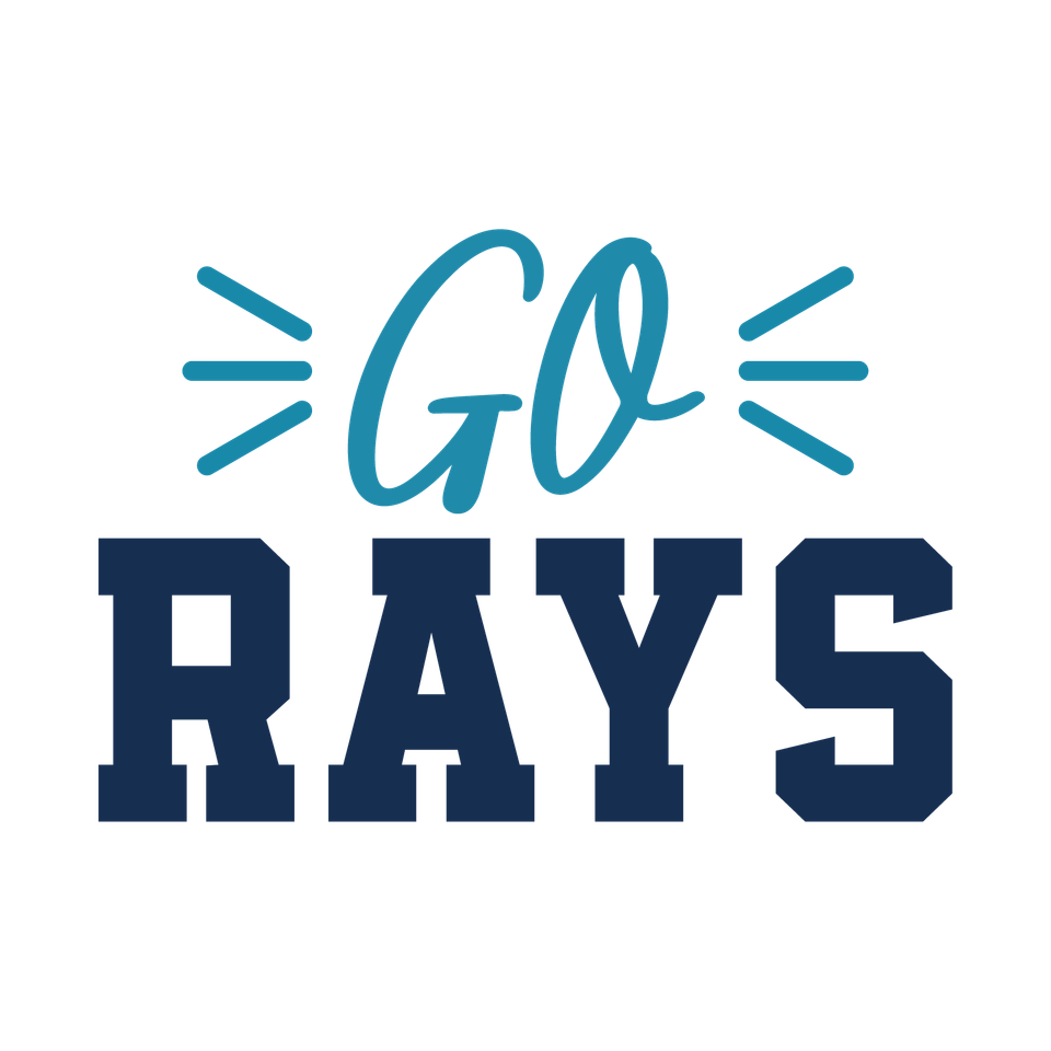 Sports   baseball rays go rays