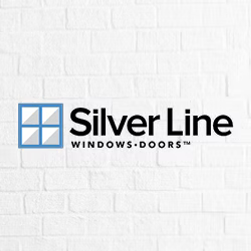Silver line logo