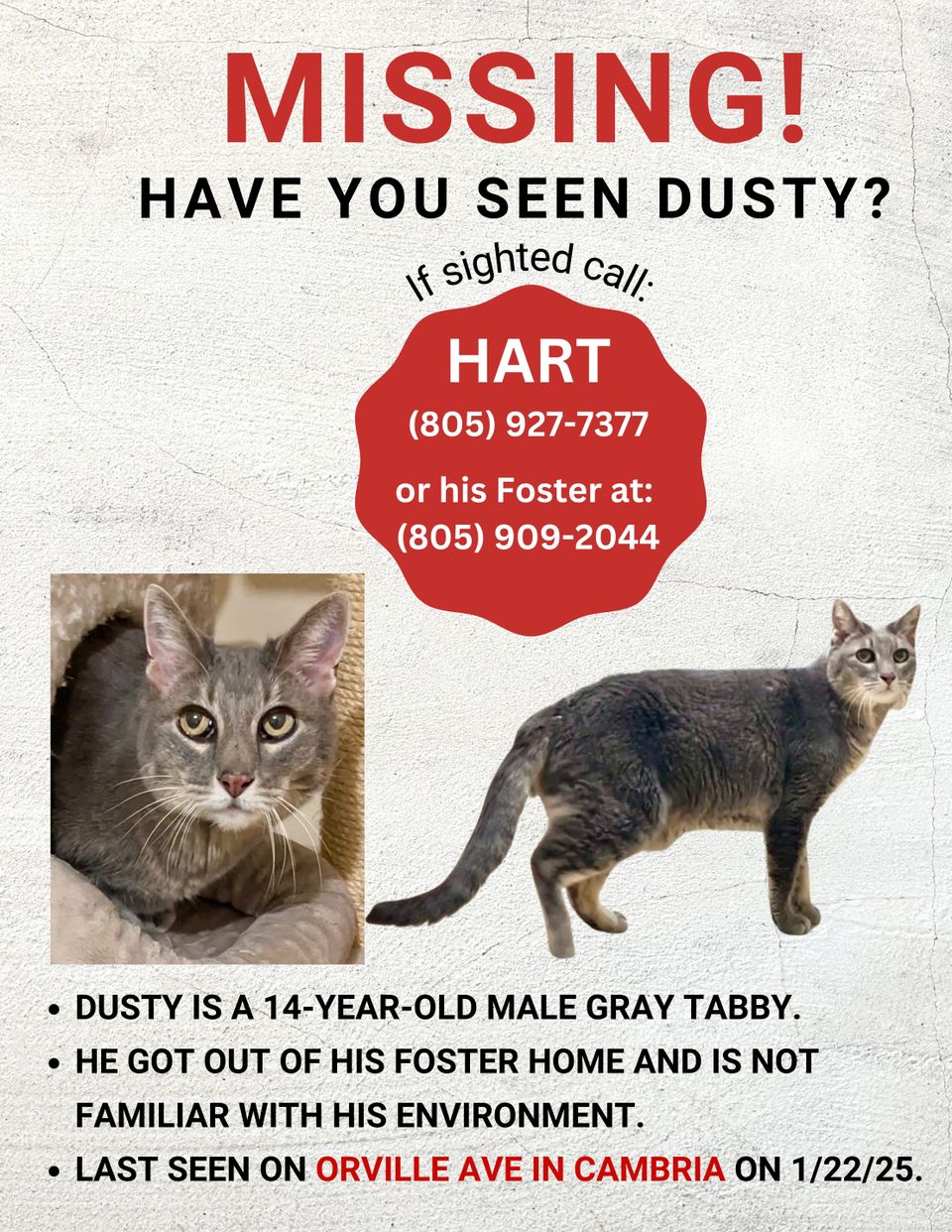 Missing dusty