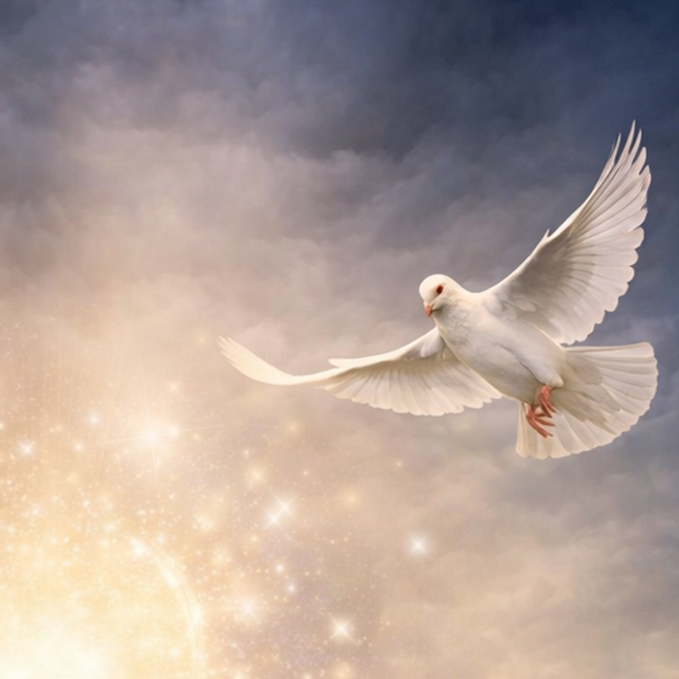 Mediumship