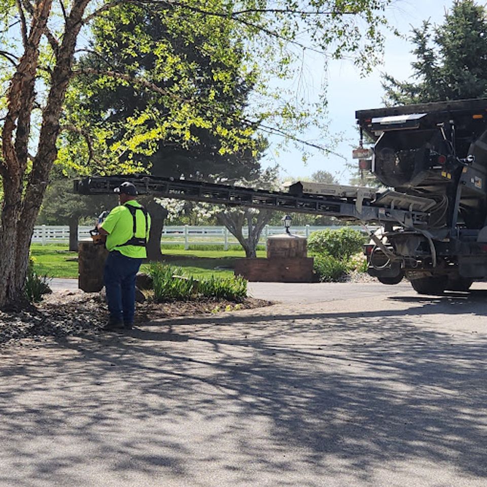 Pruning shrubs and trees