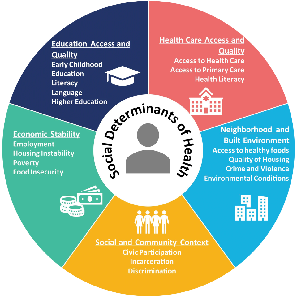 Social determinants of health wheel (1)