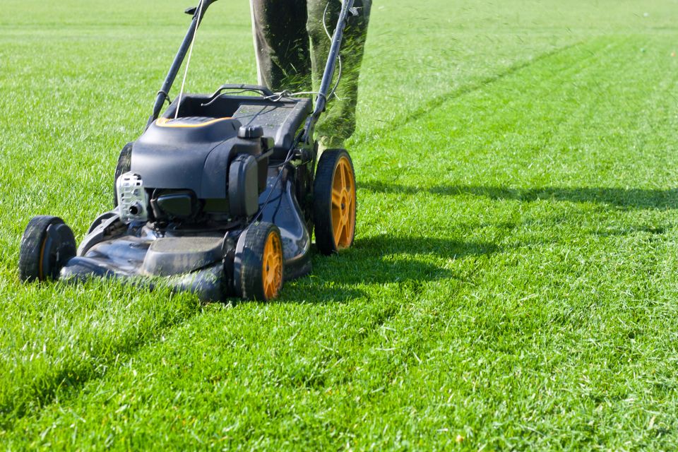 Lawn mower cutting green grass during senior yard care service on Long Island NY