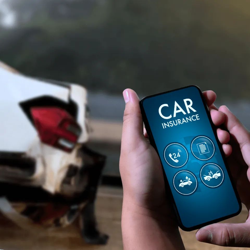 Car insurance phone app