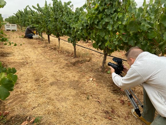 Livermore valley wine 6