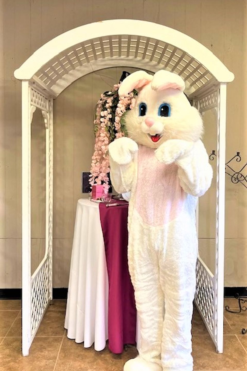 Bunny costume 2