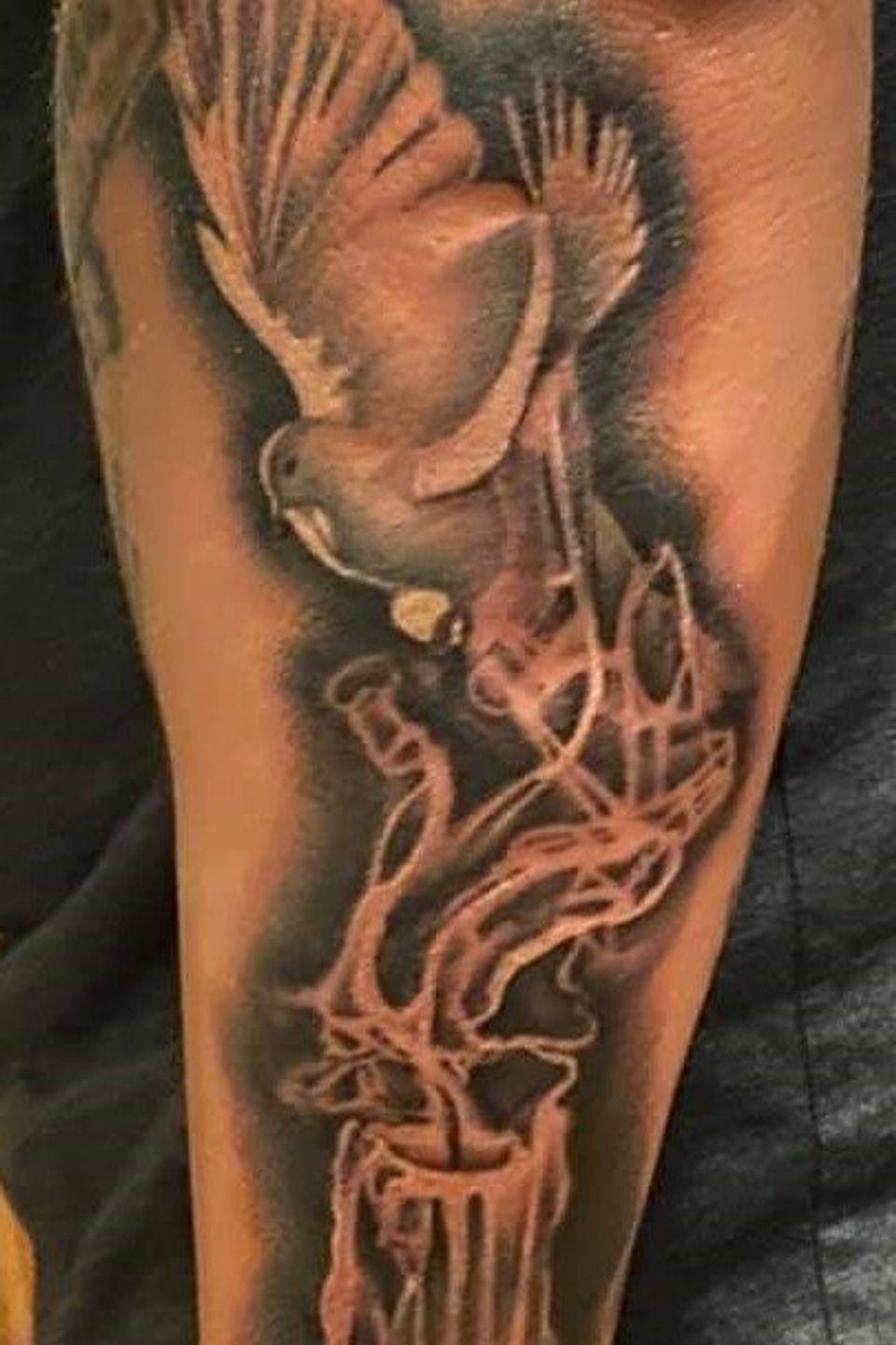 Josh dove candle