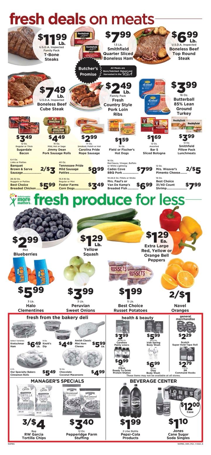 Napmg 5495 pg4 113025 k