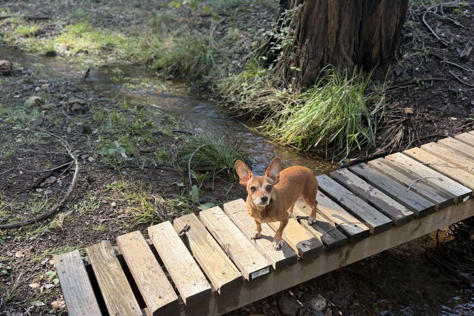 Creek crossing