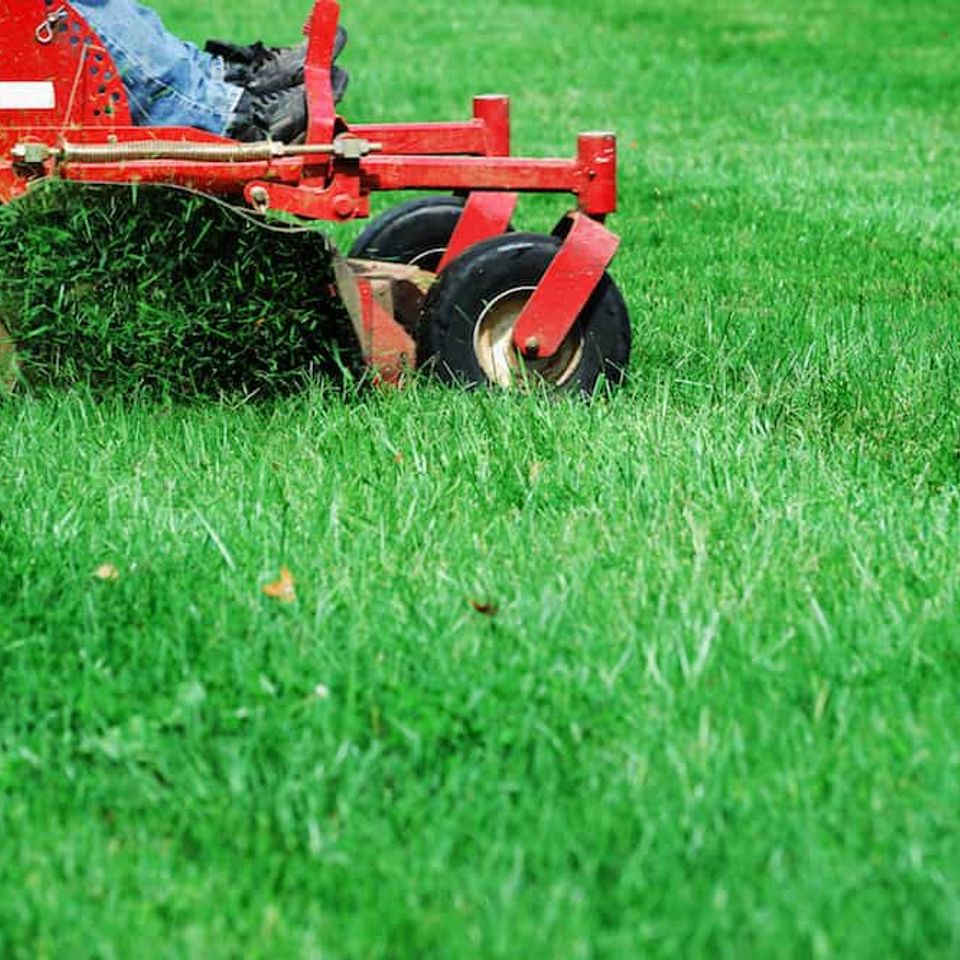 Commercial lawn maintenance