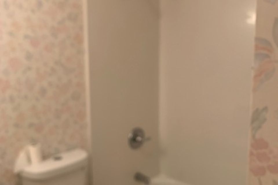 Img 3208